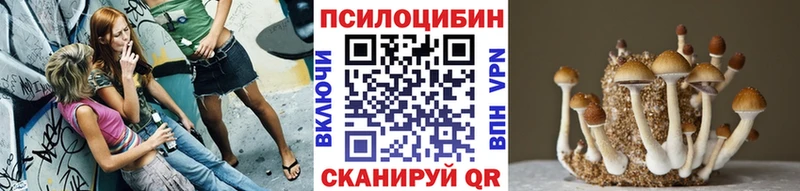 блэк спрут   Белогорск  Галлюциногенные грибы MAGIC MUSHROOMS  где найти  