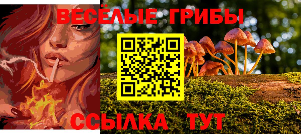 Галлюциногенные грибы мицелий Белогорск