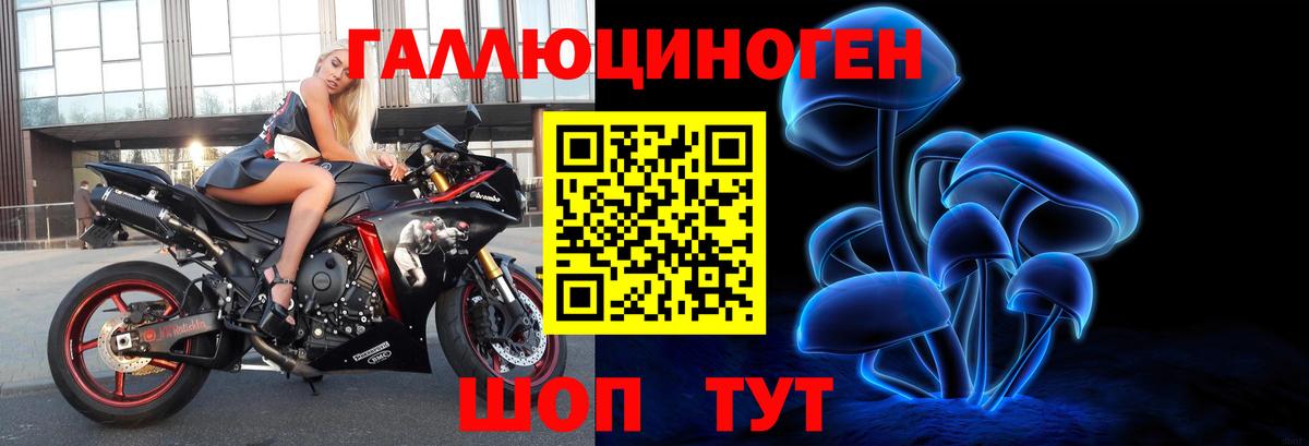 Псилоцибиновые грибы прущие грибы  Псилоцибиновые грибы GOLDEN TEACHER  Белогорск  как найти закладки  Вход с VPN 
